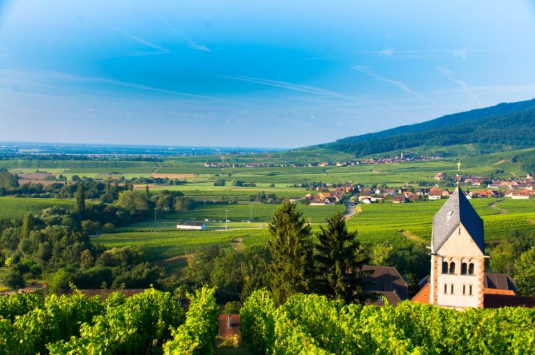 La route des vins d'Alsace - De Strasbourg à Colmar