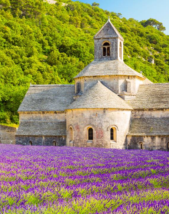 Explorez la Provence - Côte d'Azur à vélo